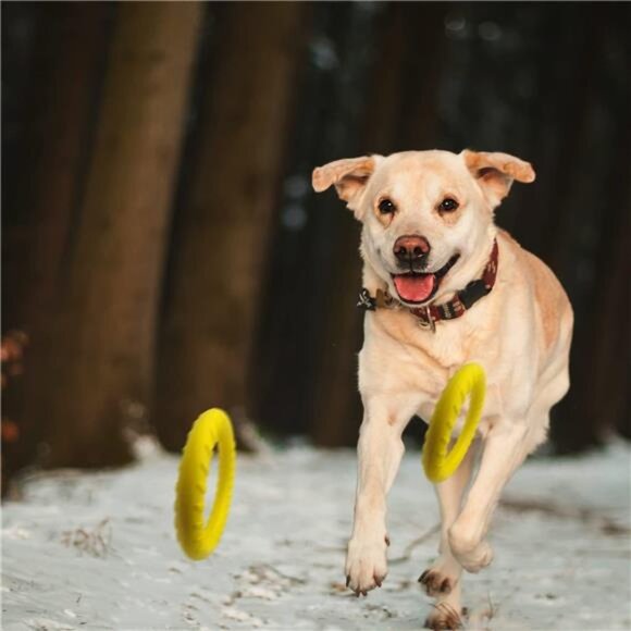 Dog Flying Disc,Floating Dog Ring Toys, Indestructible Dog Chew Toys - Picture 5 of 8